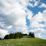 Mountain Paradise Golte