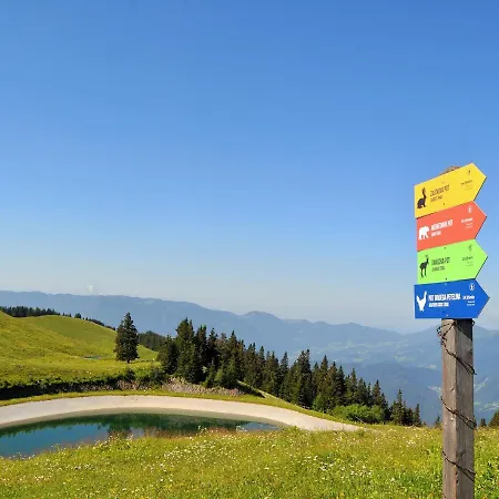 Mountain Paradise Golte Apartamento *
