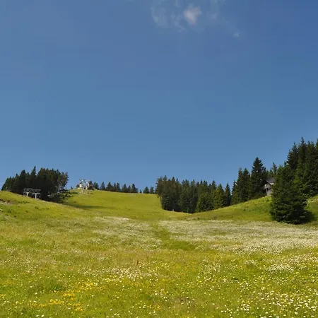 Mountain Paradise Golte Apartman Mozirje