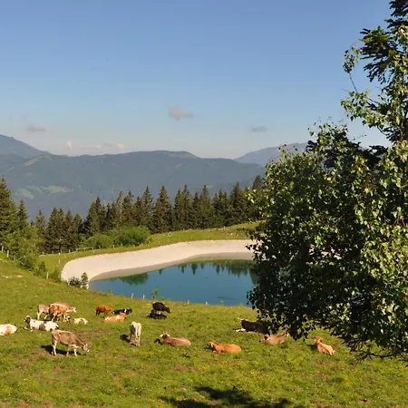 Mountain Paradise Golte Apartment