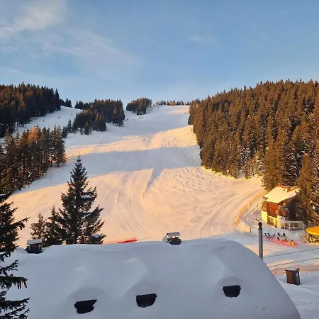 Mountain Paradise Golte *