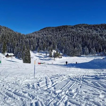 Mountain Paradise Golte Apartment Mozirje