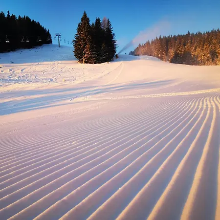 Mountain Paradise Golte Mozirje