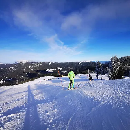 Mountain Paradise Golte * Mozirje