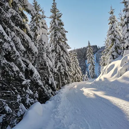 Mountain Paradise Golte Apartment *