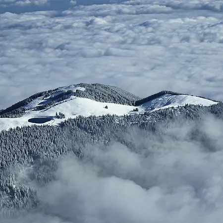 Mountain Paradise Golte Apartment