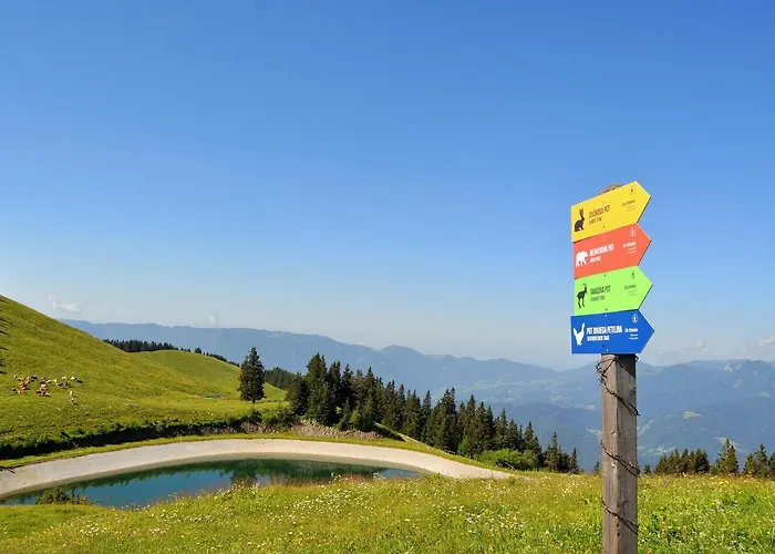 Mountain Paradise Golte Appartamento *