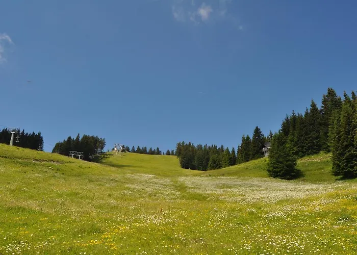 Mountain Paradise Golte Appartamento Mozirje