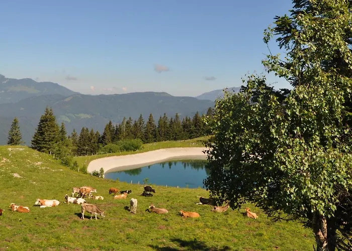 Mountain Paradise Golte Appartamento