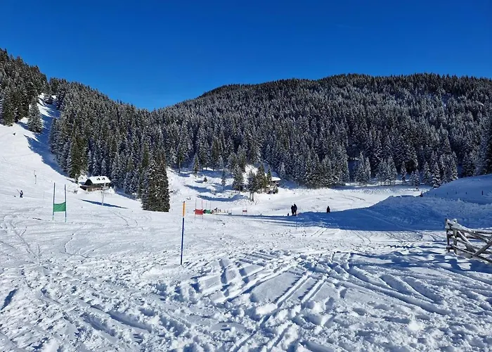 Mountain Paradise Golte Appartamento Mozirje