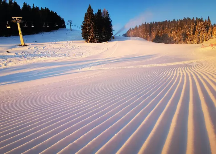 Mountain Paradise Golte Mozirje