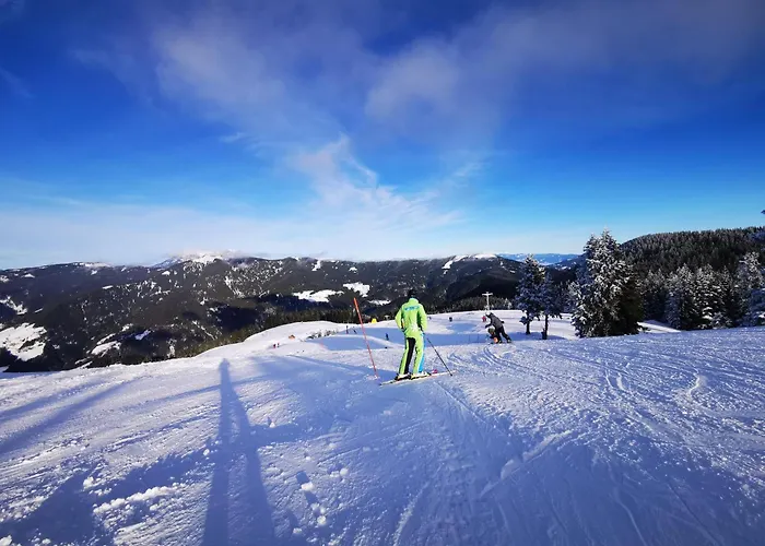 Mountain Paradise Golte * Mozirje