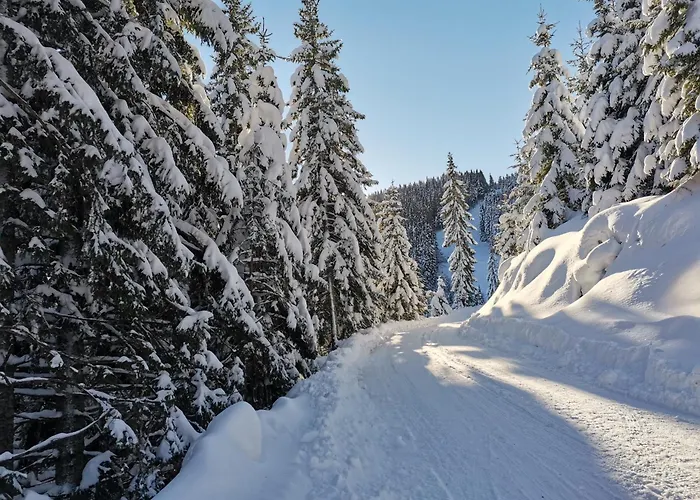 Mountain Paradise Golte Appartamento *