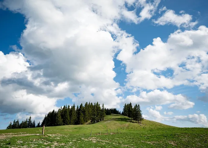 Mountain Paradise Golte