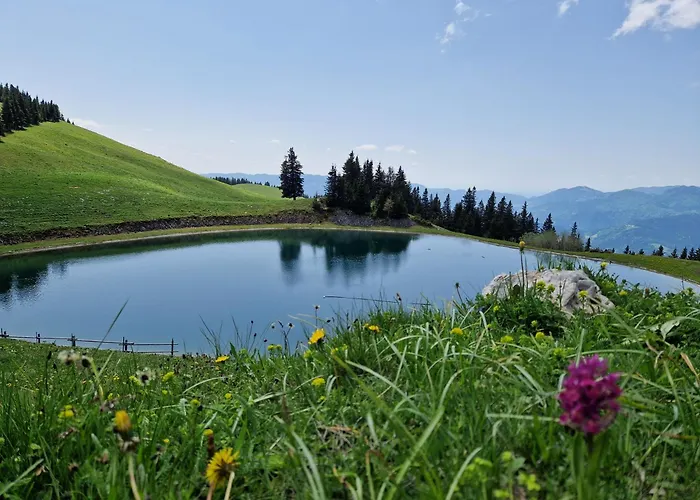 Mountain Paradise Golte Appartamento Mozirje