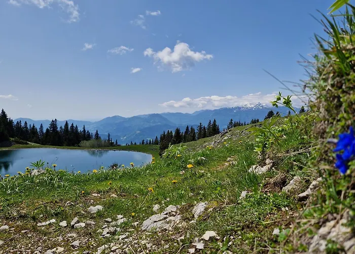 Mountain Paradise Golte Appartamento